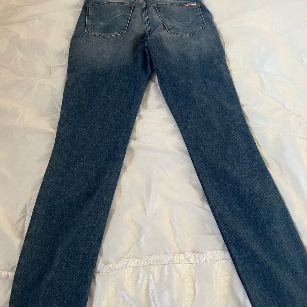 Hudson Jeans Blue Skinny Denim